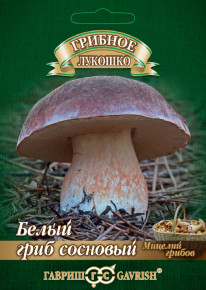 Мицелий Белый гриб Сосновый на зерновом субстрате, 15мл, Гавриш