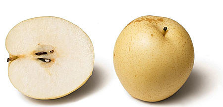 Китайская груша нэши / Пищевая ценность и виды яблокогруш / Выращивание нэши