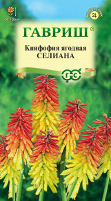 Семена Книфофия ягодная Селиана, 0,05г, Гавриш, Цветочная коллекция