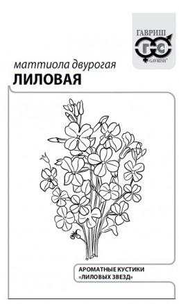 Семена Левкой двурогий (Маттиола) Лиловый, 0,3г, Гавриш, Белые пакеты