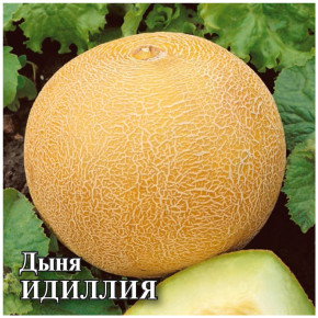 Семена Дыня Идиллия, 100г, Гавриш, Фермерское подворье