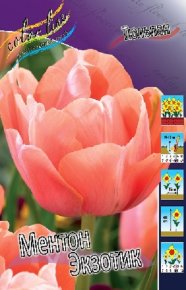 Тюльпан Ментон Экзотик (Tulipa Menton Exotic), 10шт, Color Line