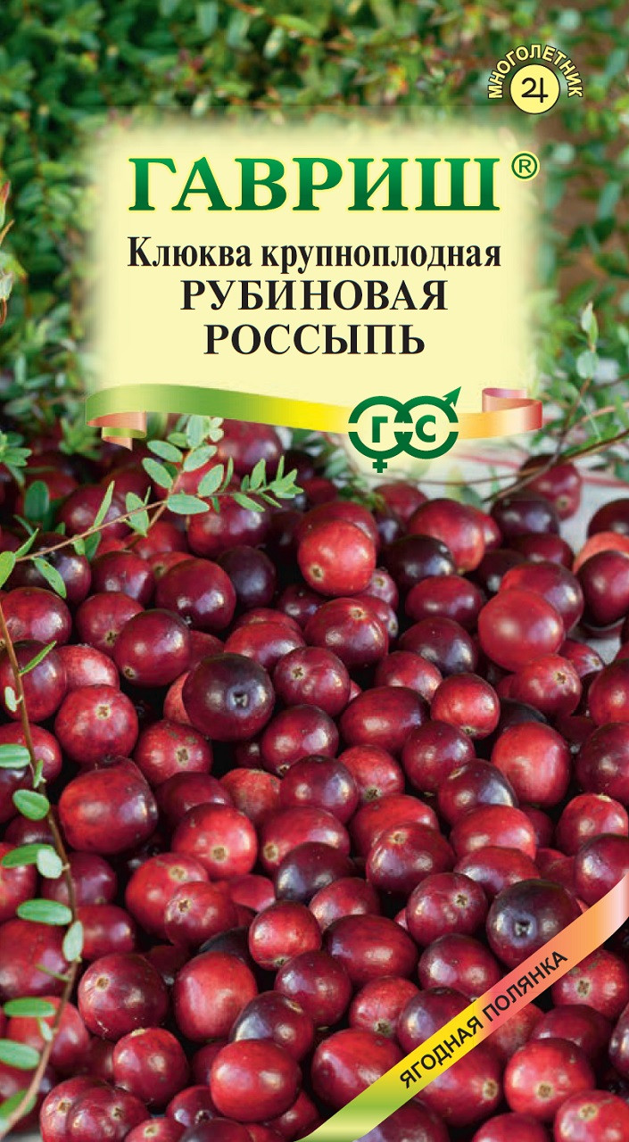 Садовая клюква: посадка, выращивание, особенности ухода | Полезные статьи на блоге GradinaMax