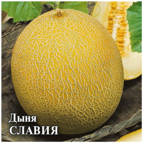 Семена Дыня Славия, 100г, Гавриш, Фермерское подворье