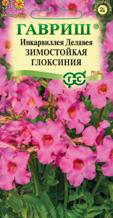 Семена Инкарвиллея Делавея Зимостойкая глоксиния, 0,1 г, Гавриш, Цветочная коллекция