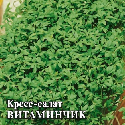 Семена Кресс-салат Витаминчик, 25г, Гавриш, Фермерское подворье