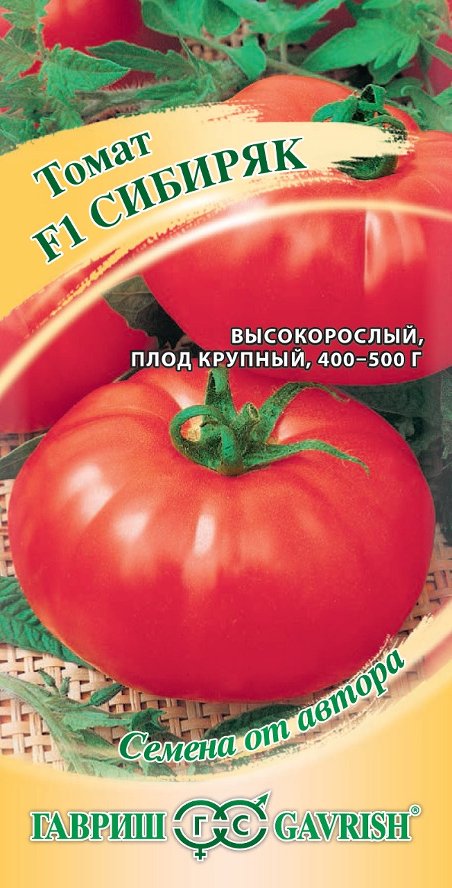 Томат комнатный сибиряк отзывы фото урожайность характеристика