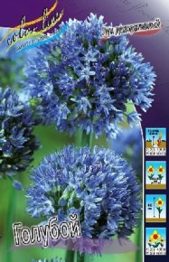 Лук декоративный Голубой (Allium Blue), 10шт, Color Line