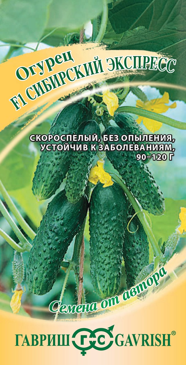 Семена Огурец Сибирский экспресс F1, 10шт, Гавриш, Семена от автора по ...