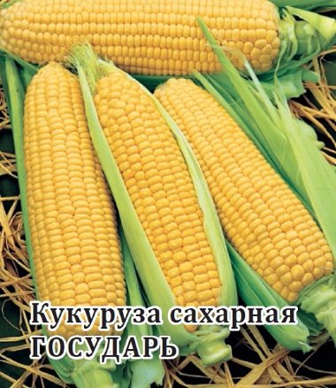 Семена Кукуруза сахарная Государь, 50г, Гавриш, Фермерское подворье