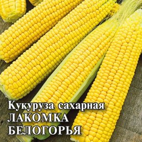 Семена Кукуруза сахарная Лакомка Белогорья, 100г, Гавриш, Фермерское подворье