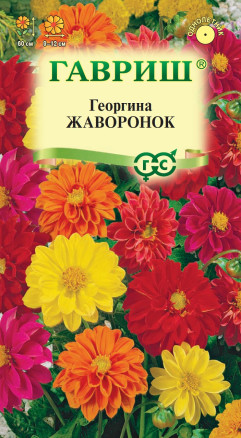 Семена Георгина Жаворонок, смесь, 0,3г, Гавриш, Цветочная коллекция