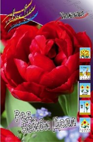Тюльпан Ред Бейби Долл (Tulipa Red Baby Doll), 10шт, Color Line