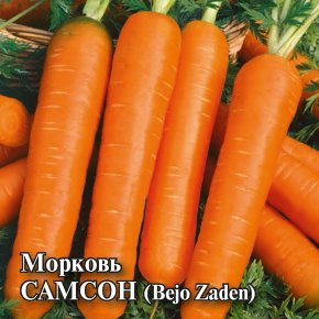 Семена Морковь Самсон, 10г, Гавриш, Фермерское подворье