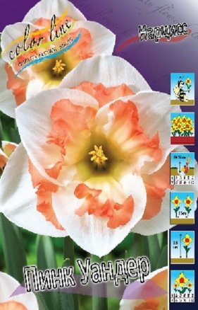 Нарцисс Пинк Уандер (Narcissus Pink Wonder), 5шт, Color Line
