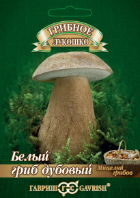 Мицелий Белый гриб Дубовый на зерновом субстрате, 15мл, Гавриш
