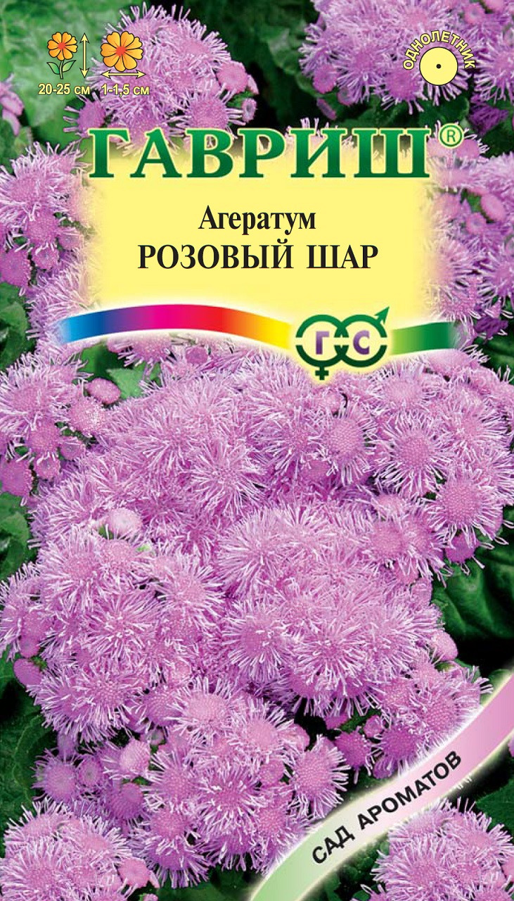 агератум розовый