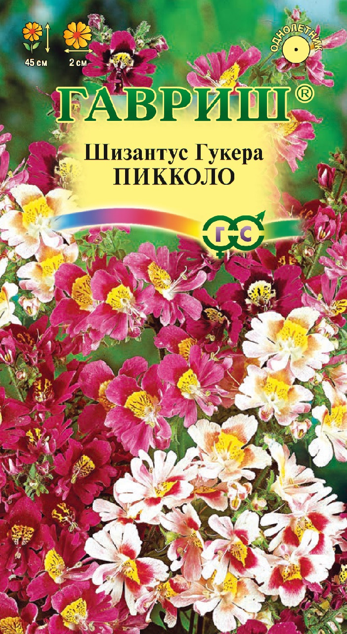 Схизантус Выращивание Из Семян Фото