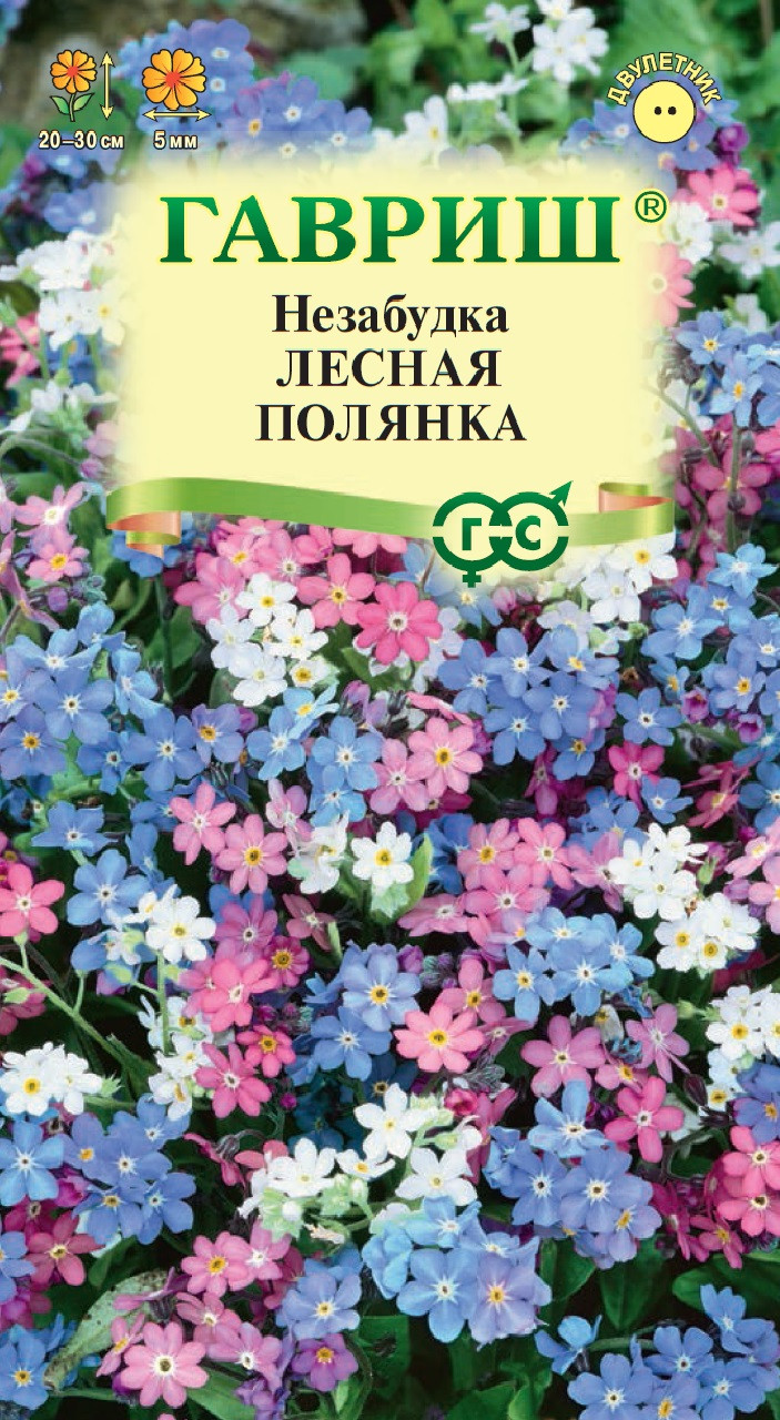 Незабудка семенами в открытый грунт. Незабудка Лесная Полянка. Незабудка Лесная Victoria Pink. Семена незабудки. Гавриш цветы.