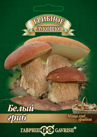 Мицелий Белый гриб на зерновом субстрате, 15мл, Гавриш