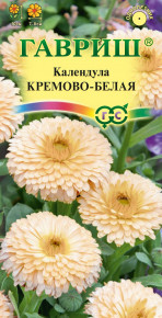 Семена Календула Кремово-белая, 0,3г, Гавриш, Цветочная коллекция