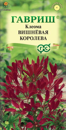 Семена Клеома Вишневая королева, 0,2г, Гавриш, Цветочная коллекция