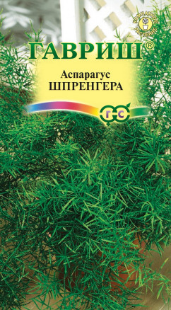 Семена Аспарагус Шпренгера, 5шт, Гавриш, Цветочная коллекция