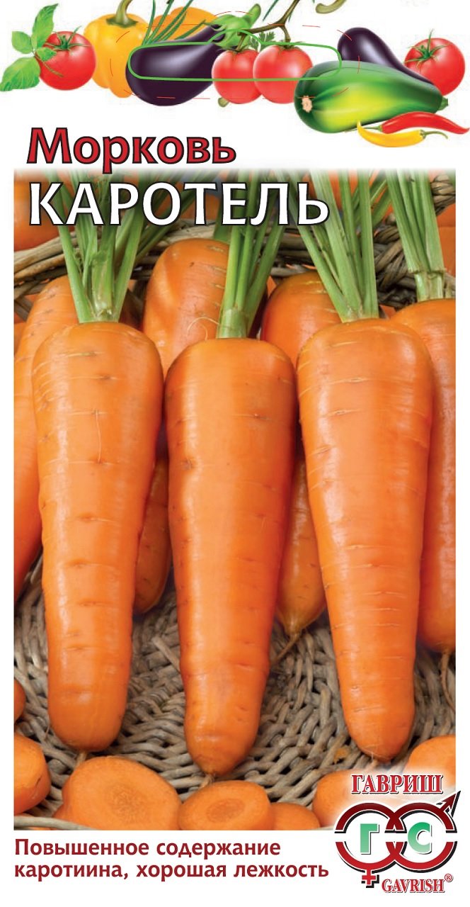 Морковь Каротель описание и характеристики сорта, фото, отзывы