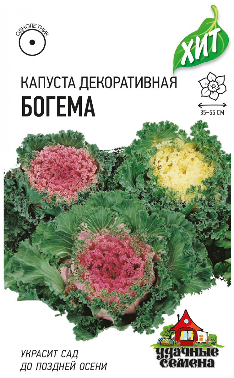 Купить Семена Декоративной Капусты В Интернет Магазине