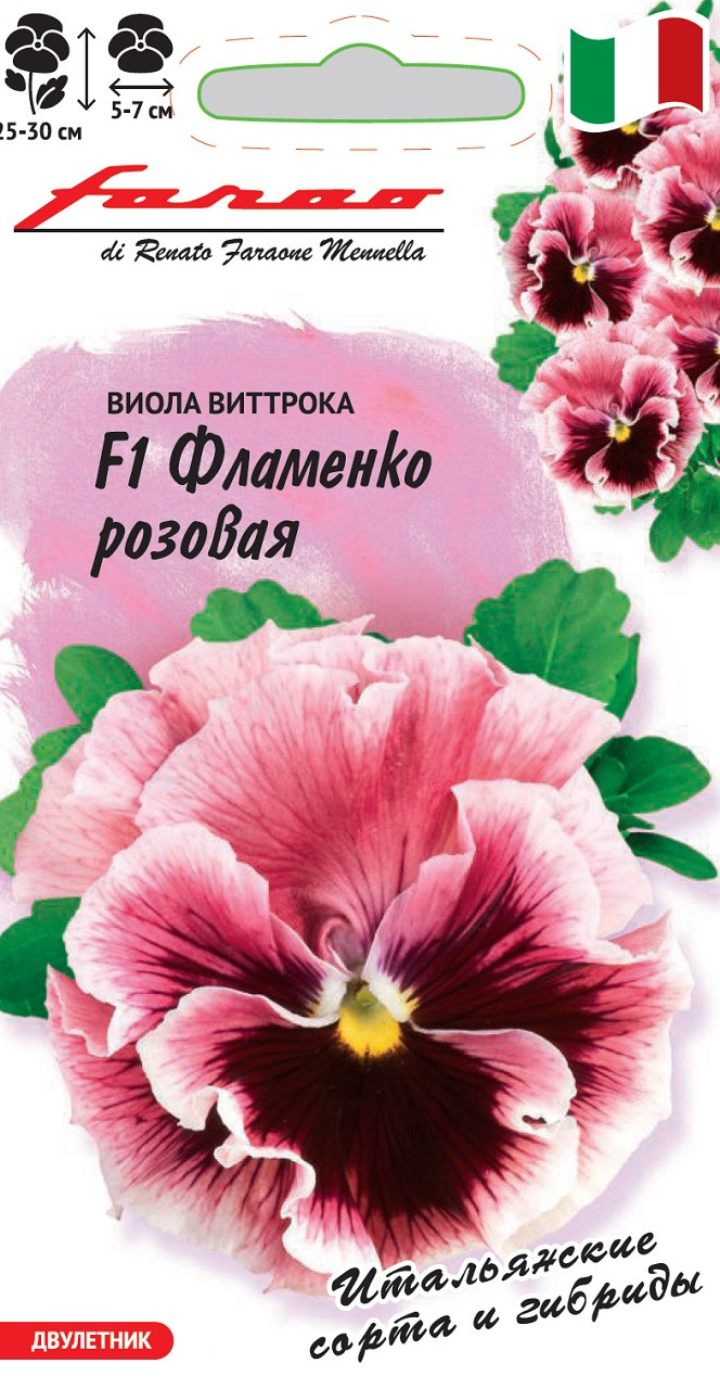 Семена Фламенко Купить