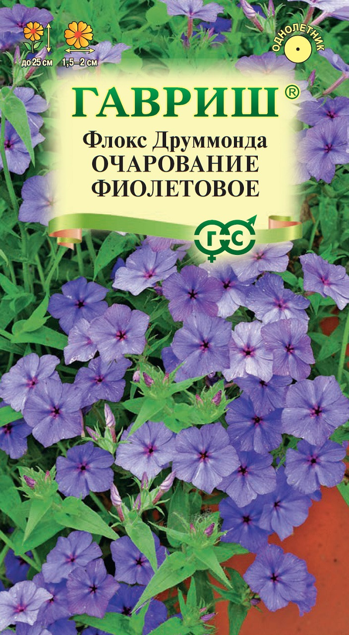 Флоксы Однолетние Купить Семена