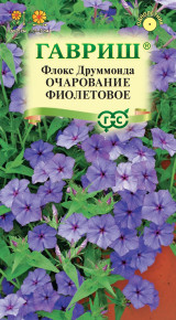 Семена Флокс друммонда Очарование фиолетовое, 0,05г, Гавриш, Цветочная коллекция
