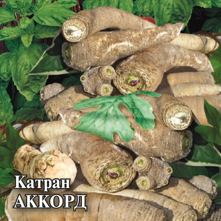 подворье купить семена подворье купить семена