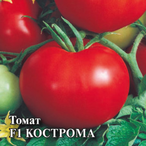 Семена Томат Кострома F1, 100шт, Гавриш, Фермерское подворье