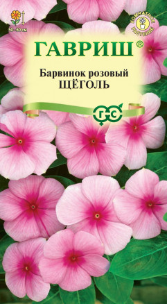 Семена Барвинок розовый (Катарантус) Щеголь, 0,05г, Гавриш, Цветочная коллекция
