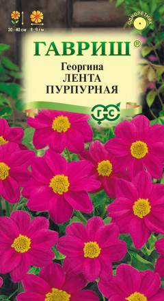 Семена Георгина Лента пурпурная, 0,2г, Гавриш, Цветочная коллекция