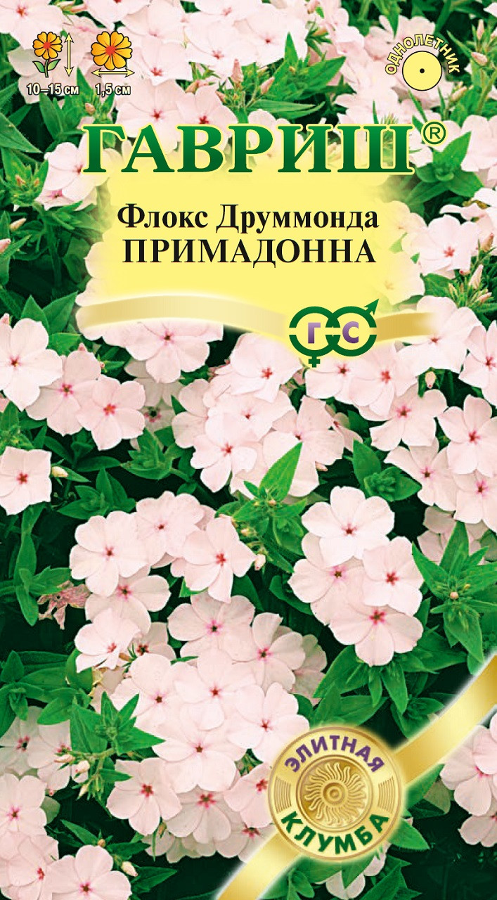 Семена Гавриш элитная клумба Флокс друммонда Примадонна 8 шт.