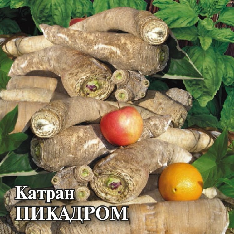 Семена Гавриш Магазин Москва
