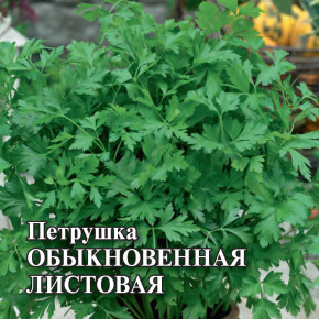 Семена Петрушка листовая Обыкновенная, 100г, Гавриш, Фермерское подворье