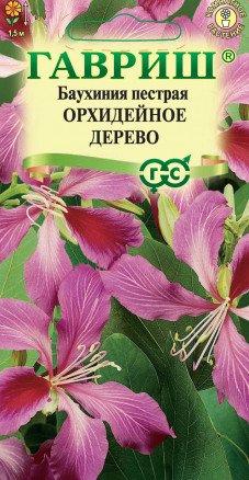 Семена Баухиния пестрая Орхидейное дерево, 3шт, Гавриш, Цветочная коллекция