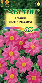 Семена Георгина Лента розовая, 0,2г, Гавриш, Цветочная коллекция