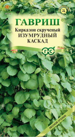 Семена Кирказон скрученный Изумрудный каскад, 3шт, Гавриш, Лесной уголок