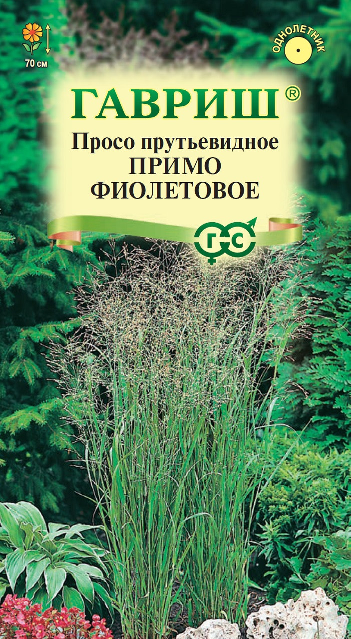 Семена Просо декоративное Примо фиолетовое, 0,5г, Гавриш, Цветочная ...