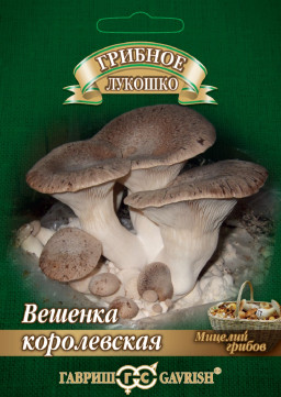Мицелий Вешенка Королевская на древесной палочке, 12шт, Гавриш, Грибное лукошко