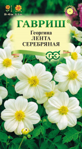 Семена Георгина Лента серебряная, 0,2г, Гавриш, Цветочная коллекция