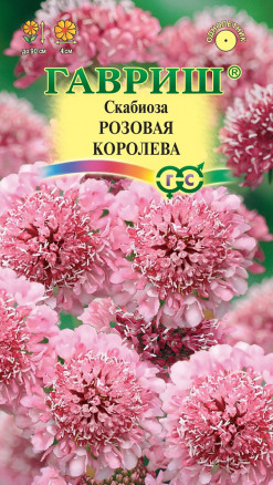 Семена Скабиоза Розовая королева, 6шт, Гавриш, Цветочная коллекция