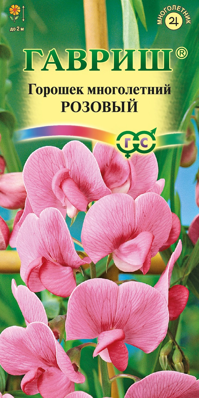 Семена Горошек многолетний (Чина посевная декоративная) Розовый, 0,5г ...