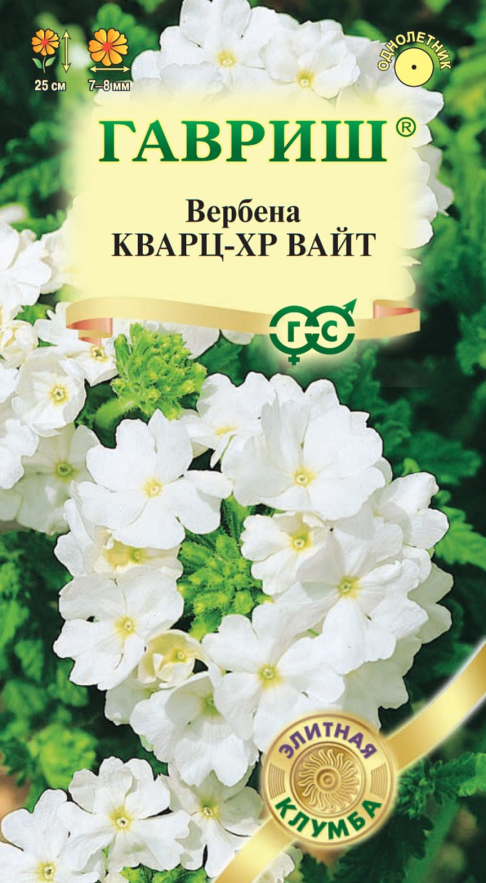 Вербена Профессиональные Семена Купить Оптом