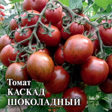 Семена Томат Каскад шоколадный, 5г, Гавриш, Фермерское подворье