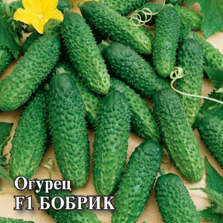 Семена Огурец Бобрик F1, 250шт, Гавриш, Фермерское подворье